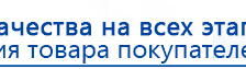 Кабель для подключения электродов к Скэнару купить в Благовещенске, Электроды Скэнар купить в Благовещенске, Официальный сайт Дэнас kupit-denas.ru